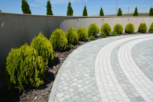 Best Driveway Pavers Near Me  in Burien, WA